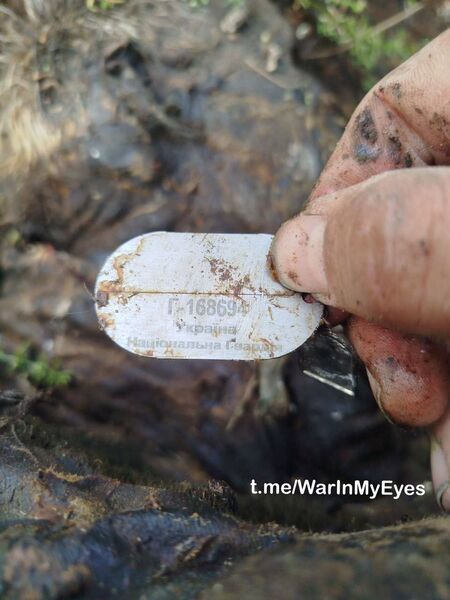 photo 9 2025 12 12 14 14 11