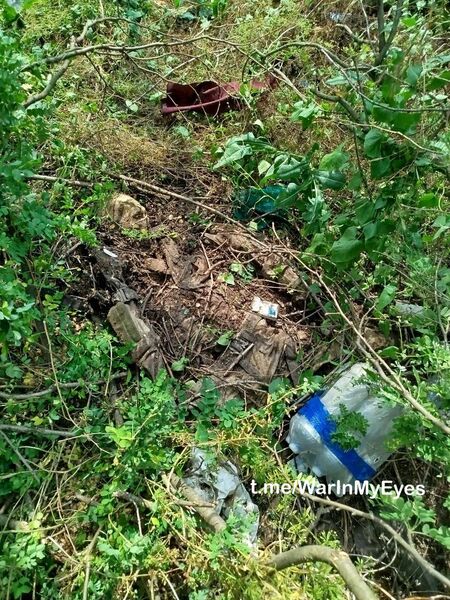 photo 7 2025 12 12 14 14 11