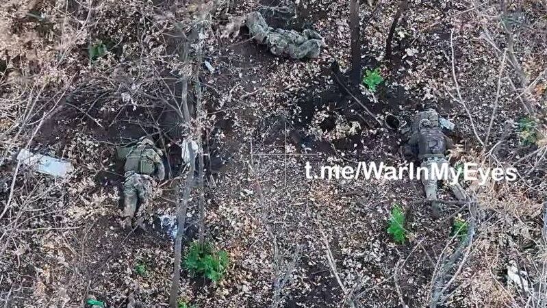 photo 3 2025 12 12 22 00 36