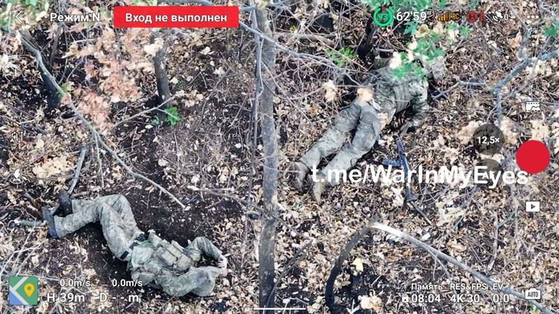 photo 7 2025 12 12 22 00 36