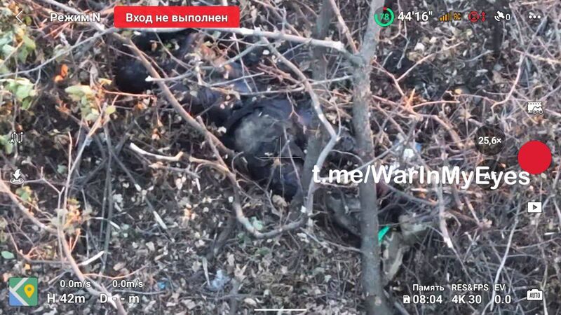 photo 8 2025 12 12 22 00 36