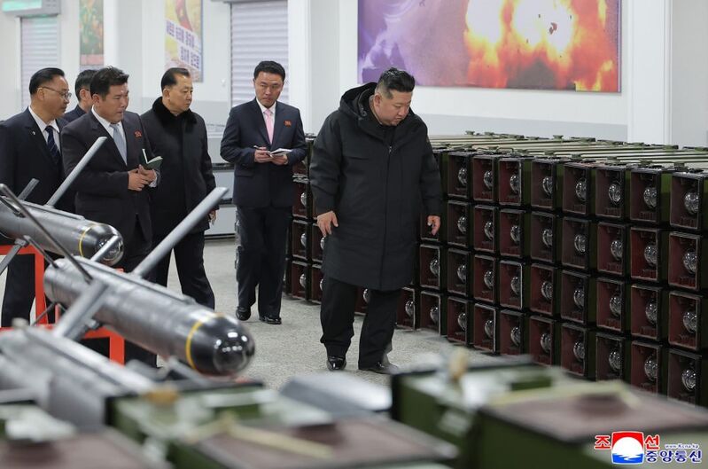 photo 8 2026 01 04 21 08 26 photo 8 2026 01 04 21 08 26