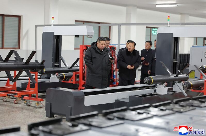 photo 7 2026 01 04 21 08 26 photo 7 2026 01 04 21 08 26