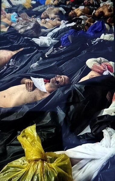 photo 4 2026 01 14 06 31 57 photo 4 2026 01 14 06 31 57