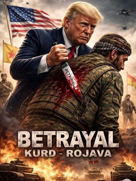 photo 2026 01 23 09 36 22 photo 2026 01 23 09 36 22