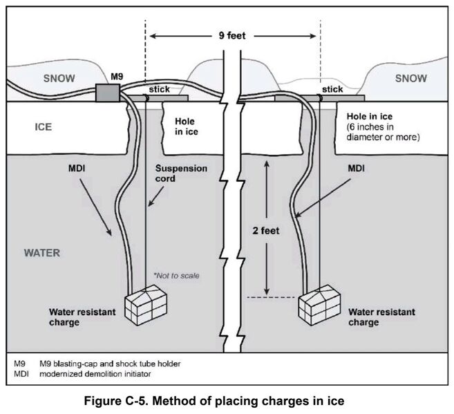 photo 9 2026 01 31 13 33 35 photo 9 2026 01 31 13 33 35