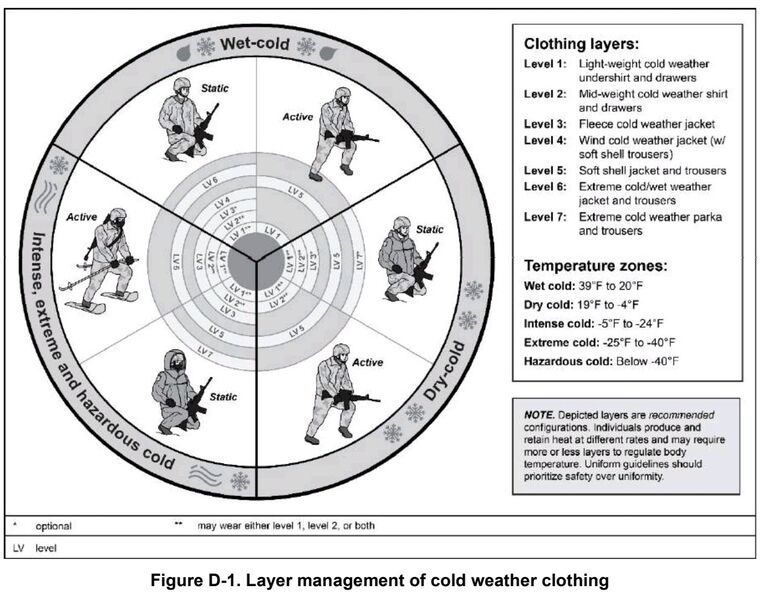 photo 10 2026 01 31 13 33 35 photo 10 2026 01 31 13 33 35