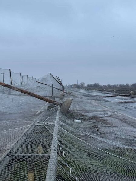 photo 2026 01 31 22 07 42 photo 2026 01 31 22 07 42