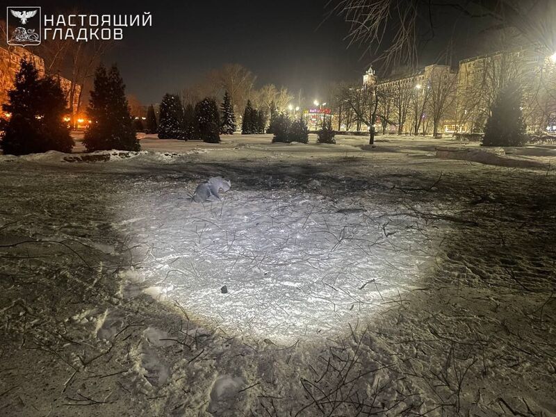 photo 2 2026 02 02 14 15 45 photo 2 2026 02 02 14 15 45