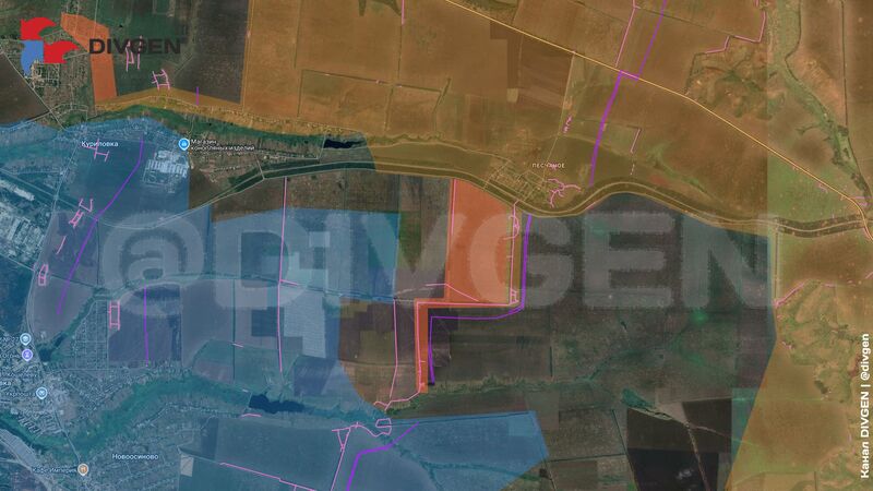 photo 3 2026 02 04 06 07 40 photo 3 2026 02 04 06 07 40