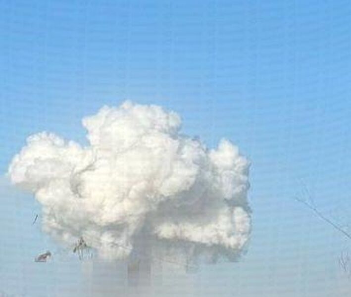 photo 2 2026 02 04 16 33 09 photo 2 2026 02 04 16 33 09