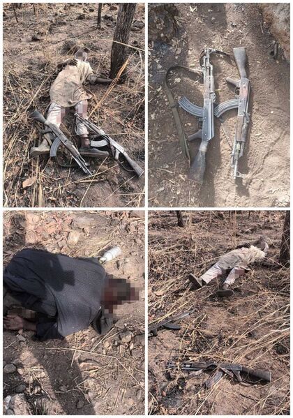 photo 2 2026 02 05 17 41 36 photo 2 2026 02 05 17 41 36