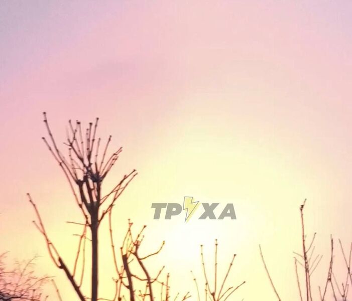 photo 2 2026 02 07 17 18 51 photo 2 2026 02 07 17 18 51