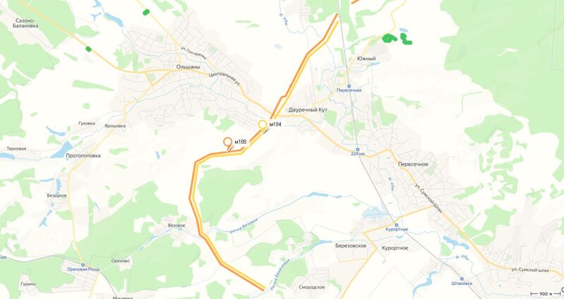 photo 2 2026 02 10 02 41 45 photo 2 2026 02 10 02 41 45