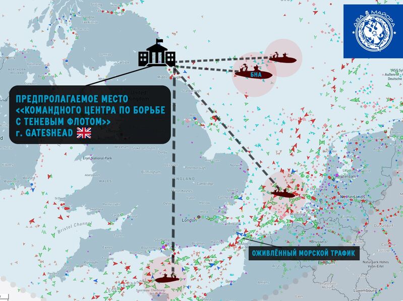 photo 2026 02 10 05 44 02 photo 2026 02 10 05 44 02