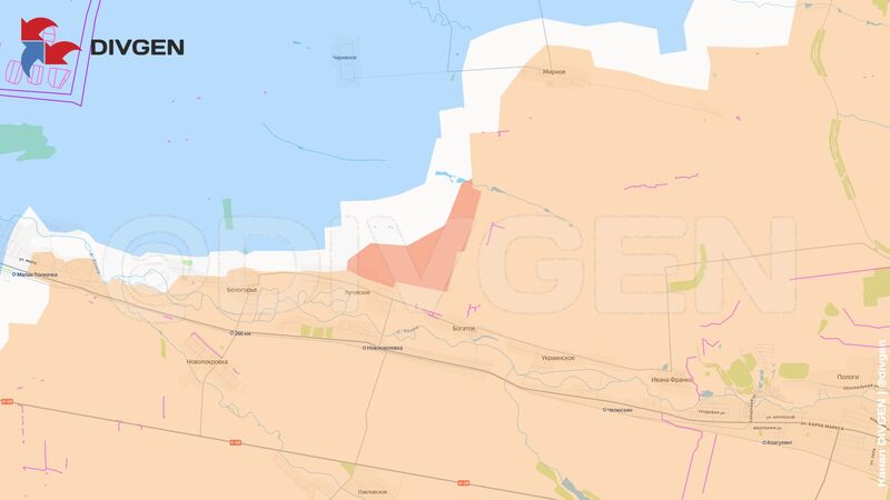 photo 1 2026 02 11 17 40 00 photo 1 2026 02 11 17 40 00