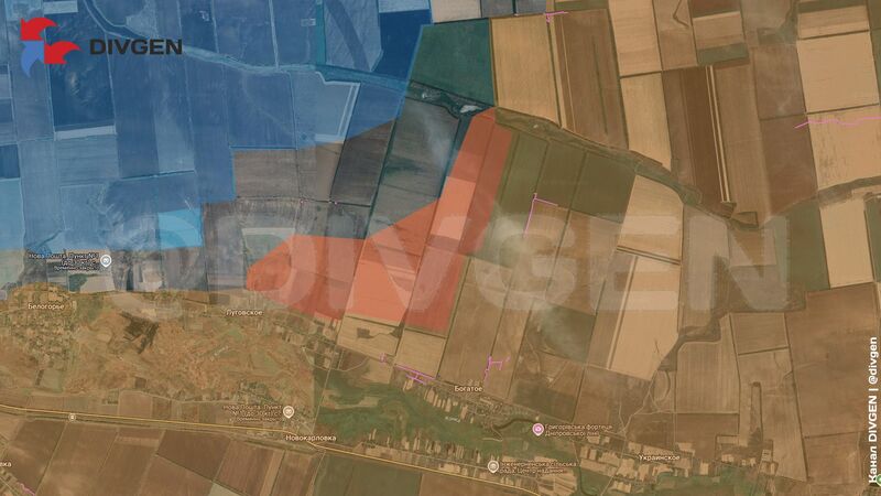 photo 2 2026 02 11 17 40 00 photo 2 2026 02 11 17 40 00