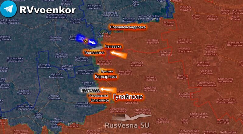 photo 1 2026 02 14 13 41 34 photo 1 2026 02 14 13 41 34