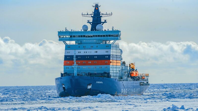 photo 2026 02 19 15 02 20 photo 2026 02 19 15 02 20