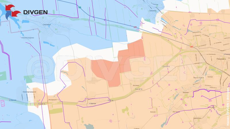 photo 1 2026 02 21 13 54 25 photo 1 2026 02 21 13 54 25