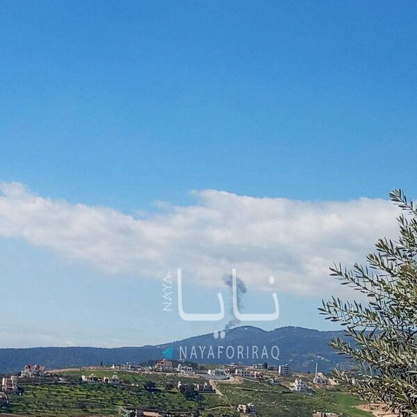 photo 2026 02 28 17 47 32 photo 2026 02 28 17 47 32