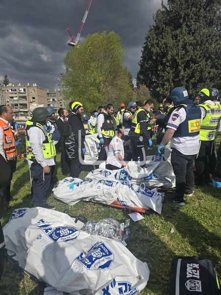 photo 2026 03 01 20 01 09 photo 2026 03 01 20 01 09