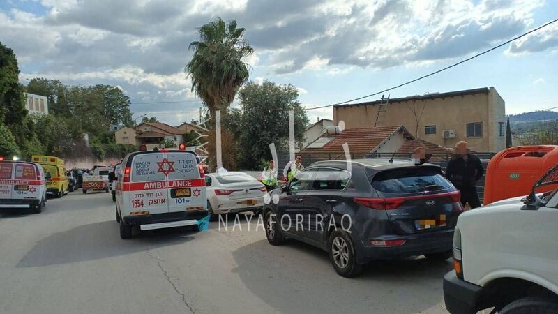 photo 1 2026 03 01 20 19 57 photo 1 2026 03 01 20 19 57