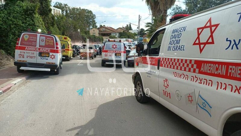 photo 3 2026 03 01 20 19 57 photo 3 2026 03 01 20 19 57