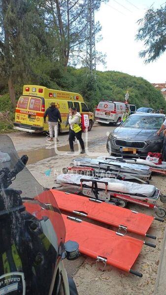 photo 2 2026 03 01 20 19 57 photo 2 2026 03 01 20 19 57