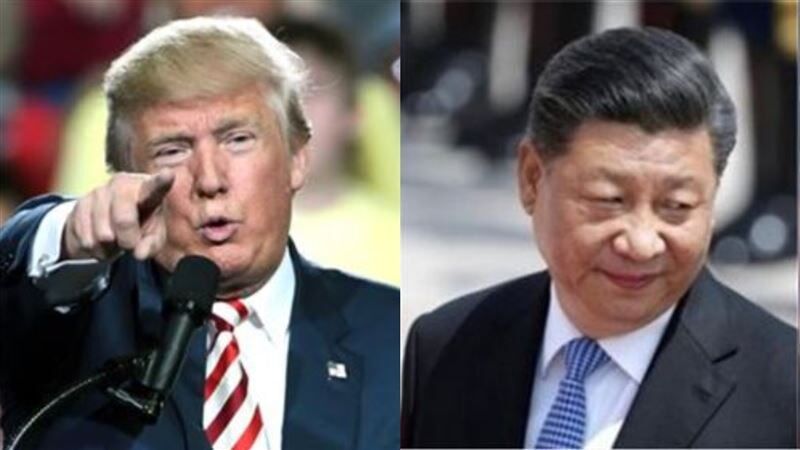 photo 1 2026 03 03 11 12 53 photo 1 2026 03 03 11 12 53