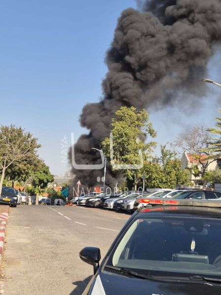 photo 1 2026 03 03 21 50 37 photo 1 2026 03 03 21 50 37