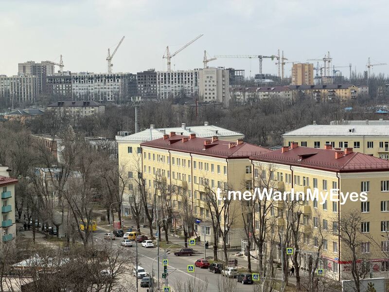 photo 10 2026 03 06 16 55 25 photo 10 2026 03 06 16 55 25