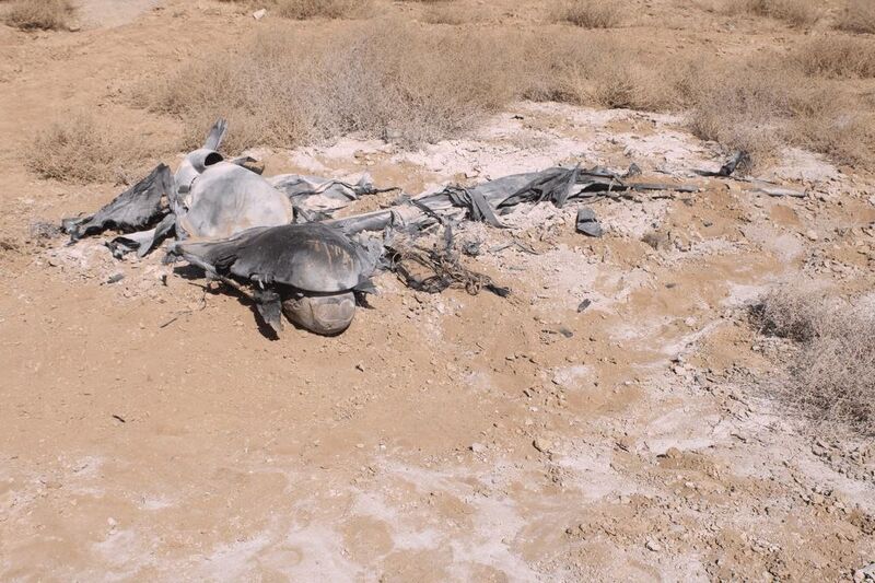 photo 4 2026 03 09 05 47 41 photo 4 2026 03 09 05 47 41