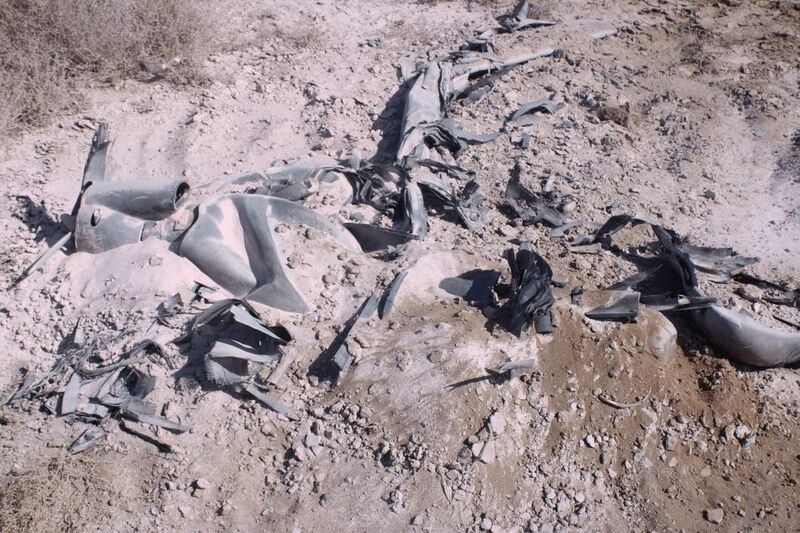 photo 1 2026 03 09 05 47 41 photo 1 2026 03 09 05 47 41