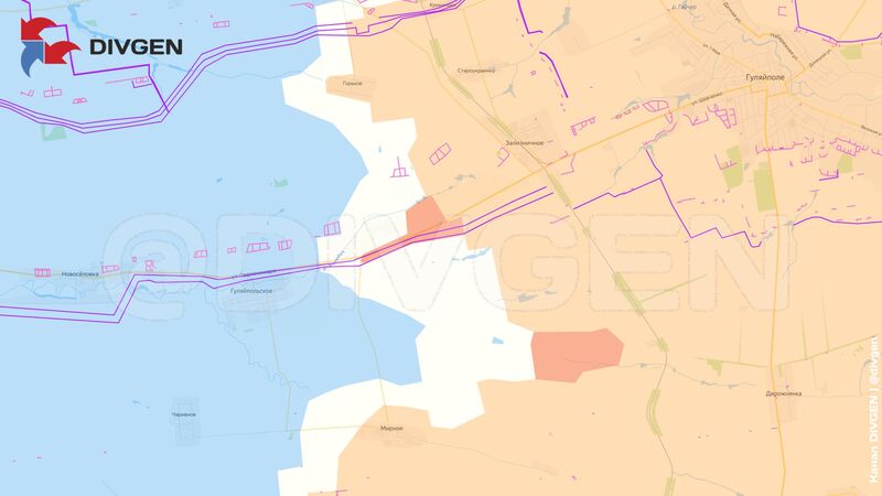 photo 1 2026 03 15 07 02 37 photo 1 2026 03 15 07 02 37