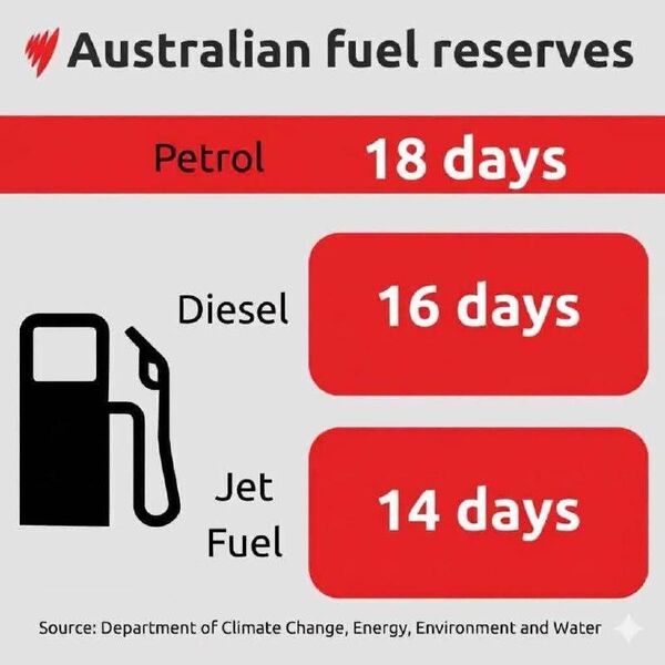 photo 2026 03 15 07 50 39 photo 2026 03 15 07 50 39