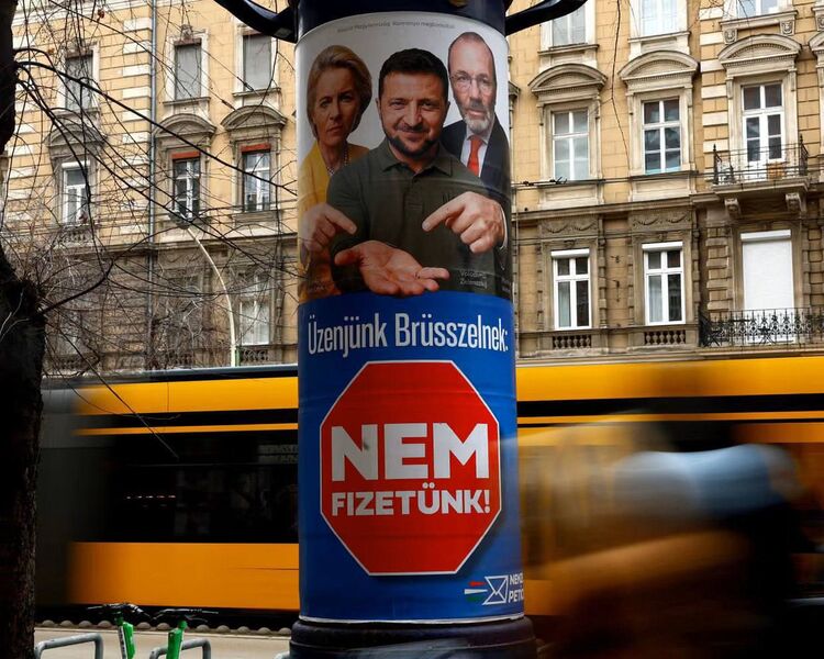 photo 2 2026 03 15 07 51 53 photo 2 2026 03 15 07 51 53