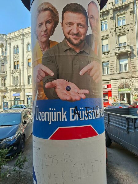 photo 4 2026 03 15 07 51 53 photo 4 2026 03 15 07 51 53