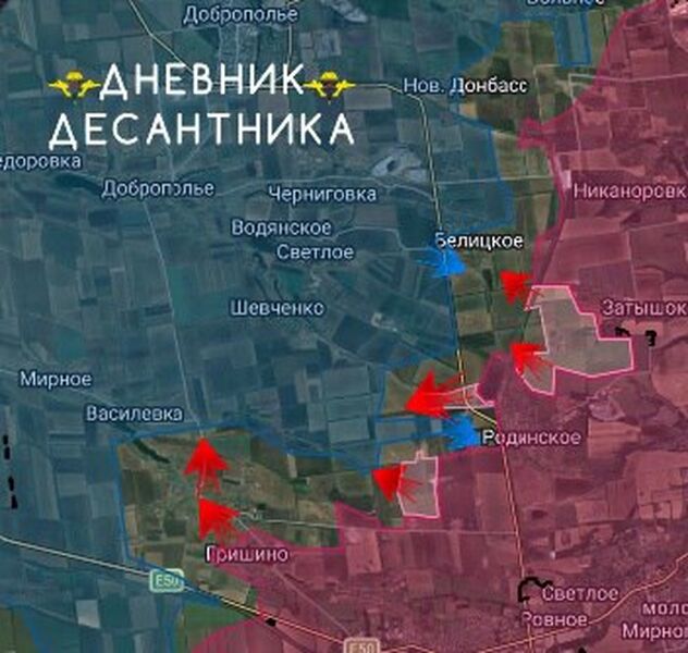 photo 2026 03 15 18 38 41 photo 2026 03 15 18 38 41