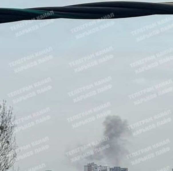 photo 1 2026 03 16 21 50 52 photo 1 2026 03 16 21 50 52