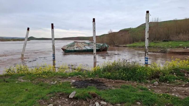 photo 5 2026 03 17 10 31 01 photo 5 2026 03 17 10 31 01