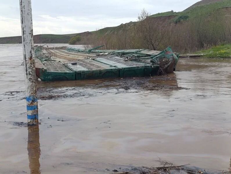 photo 1 2026 03 17 10 31 01 photo 1 2026 03 17 10 31 01