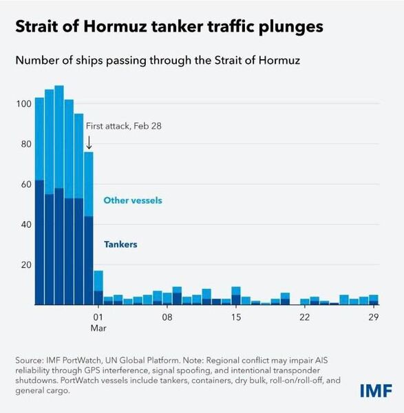 photo 2026 04 01 08 15 00 photo 2026 04 01 08 15 00