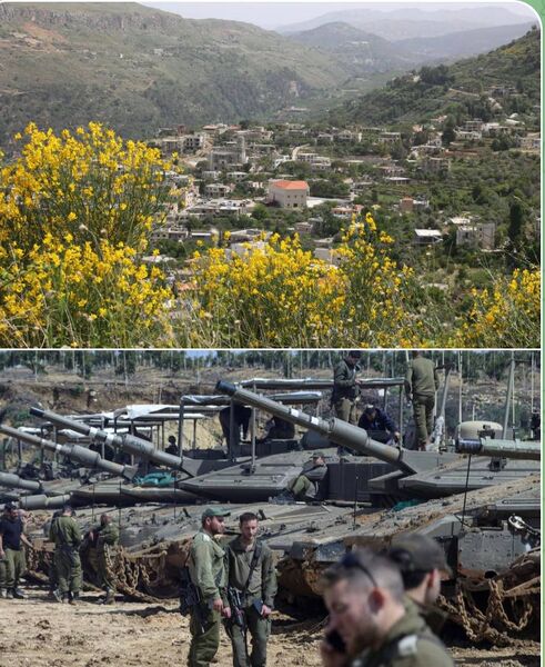 photo 1 2026 04 01 08 59 10 photo 1 2026 04 01 08 59 10