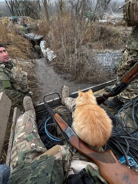 photo 7 2026 04 02 10 39 53 photo 7 2026 04 02 10 39 53