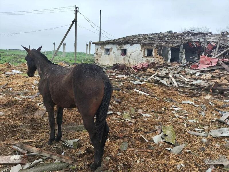 photo 2 2026 04 02 19 37 12 photo 2 2026 04 02 19 37 12