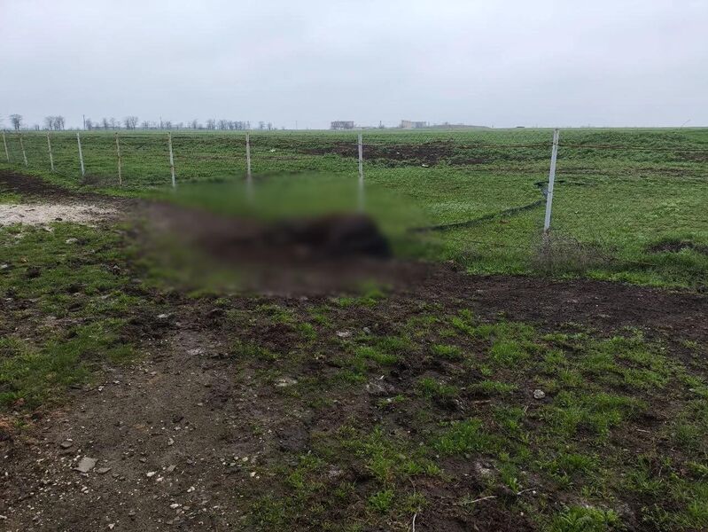 photo 3 2026 04 02 19 37 12 photo 3 2026 04 02 19 37 12