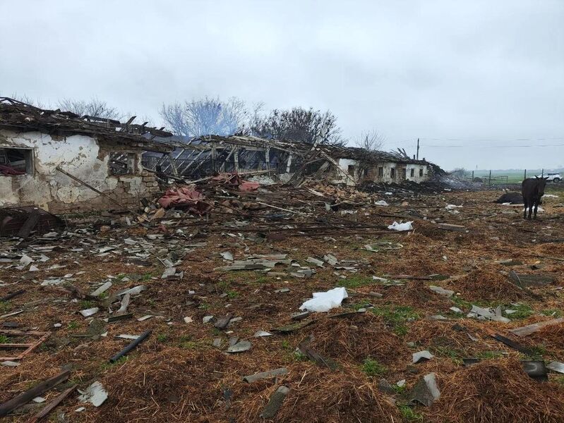 photo 1 2026 04 02 19 37 12 photo 1 2026 04 02 19 37 12