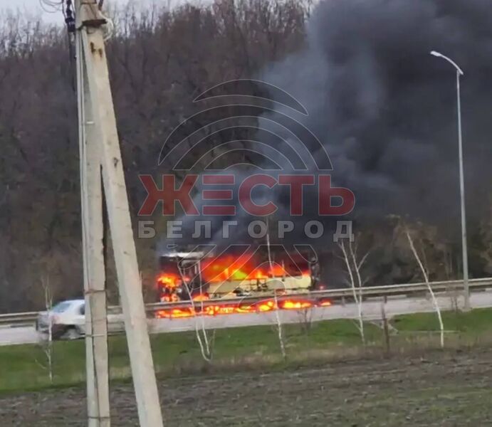 photo 1 2026 04 17 19 52 24 photo 1 2026 04 17 19 52 24