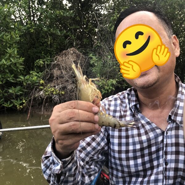 image1688914873899.png image1688914873899.png